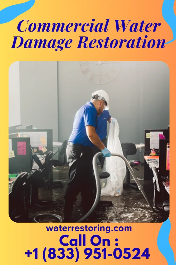 Commercial Water Damage Restoration in Maunawili, HI
